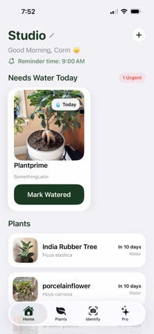 Suolo: Plant Identifier Screenshot 1 of 6