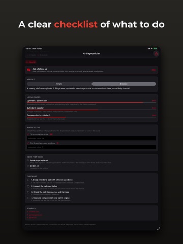 Pistonly: AI Car Diagnostics iPad screenshot