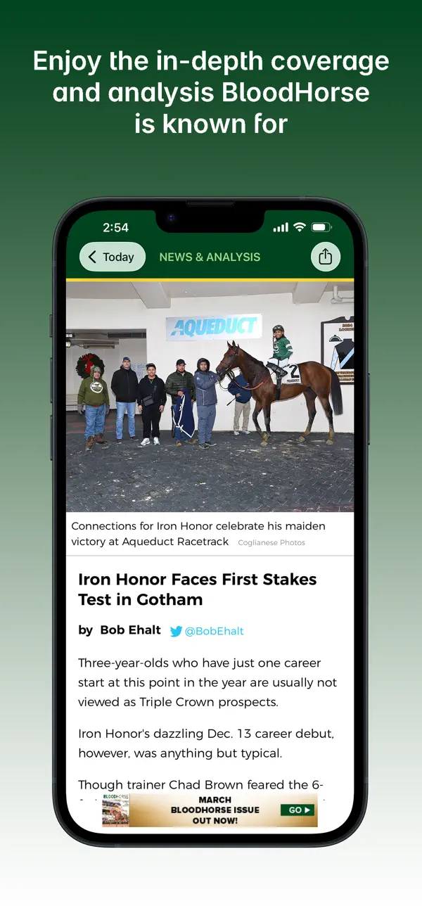 Screenshot #3 pour BloodHorse Daily