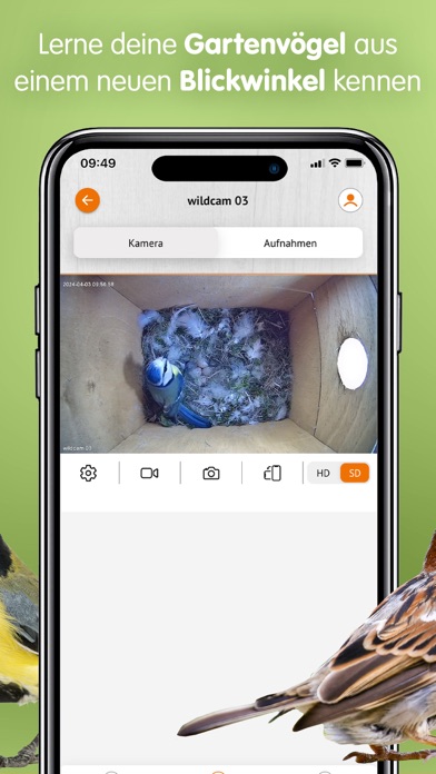 dobar wildlife Screenshot