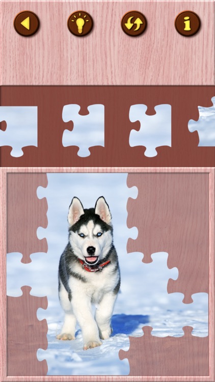 Cute Puppy Jigsaw Puzzle Games screenshot-4