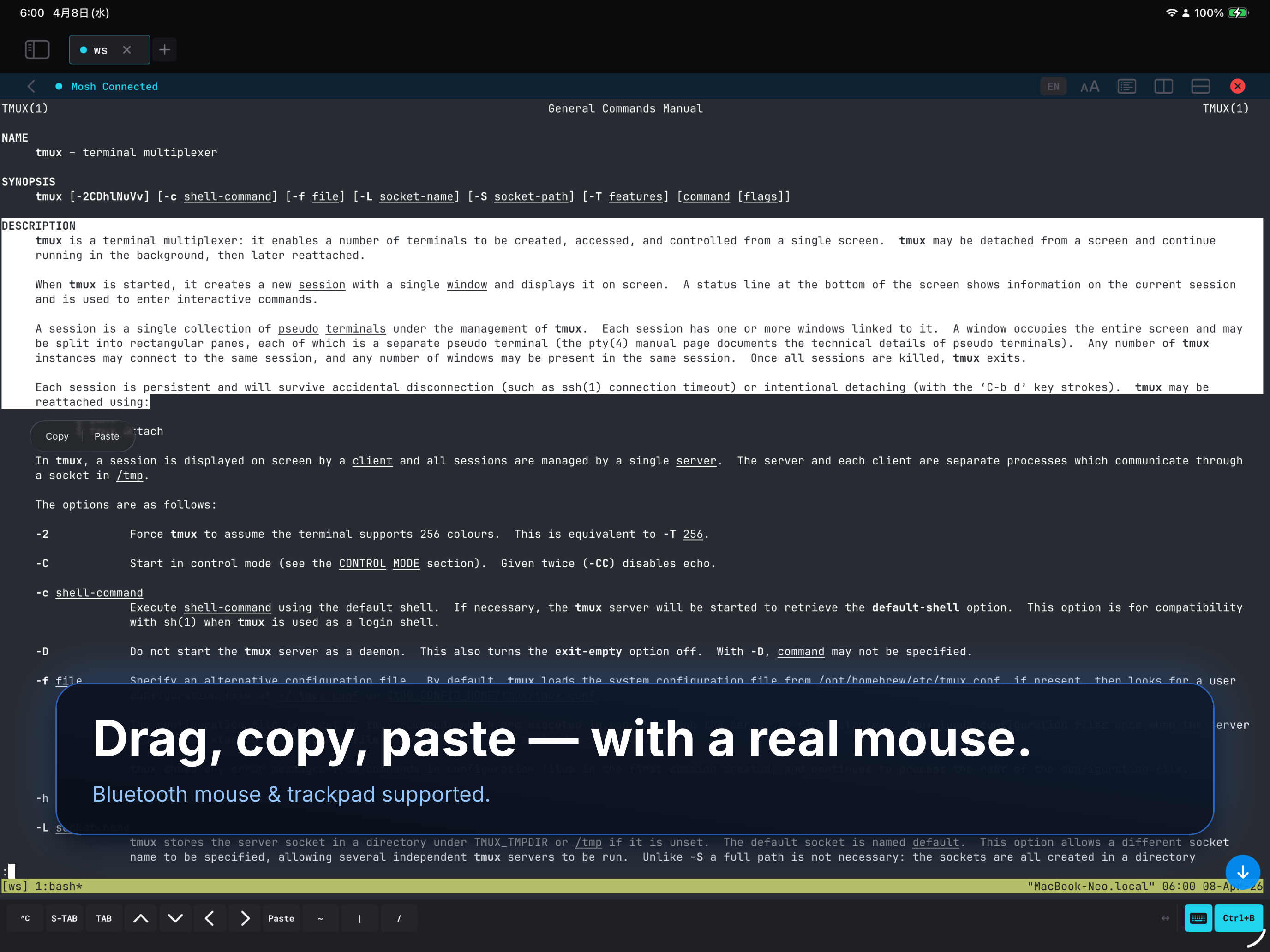 MT — Mosh Terminal