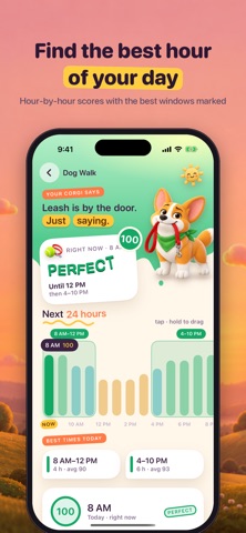 Dog Weather: Walks & Widgets app screenshot 2