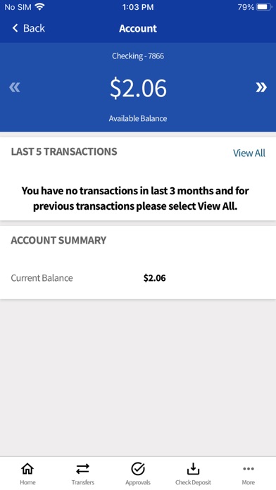 Screenshot #1 pour Business eBanking