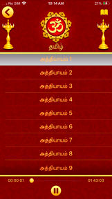 Bhagavad Gita in 11 Languages screenshot