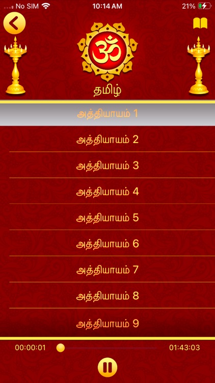 Bhagavad Gita in 11 Languages screenshot-6