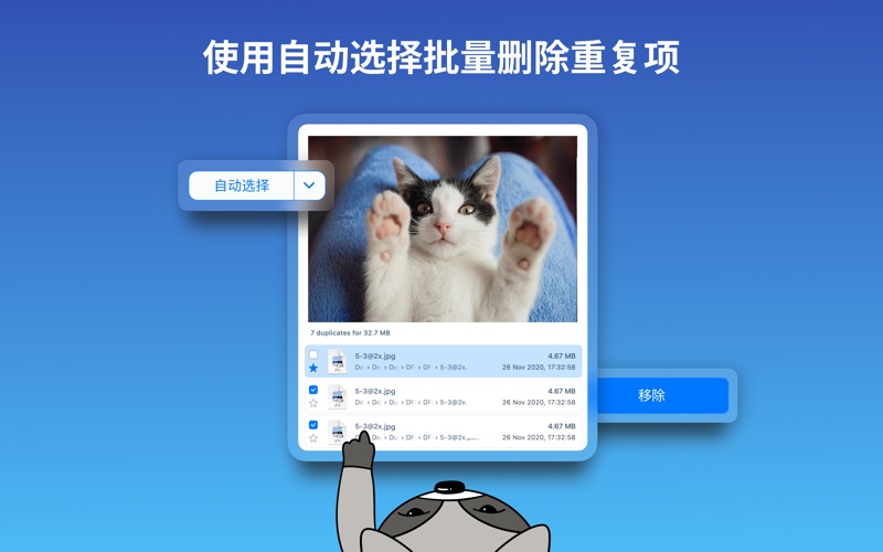 Duplicate File Finder Pro