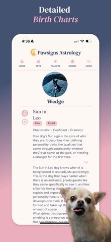 Pawsigns Screenshot 7 of 10