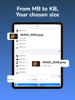Pic to Zip: Bulk Resize to PDF iPad image 2