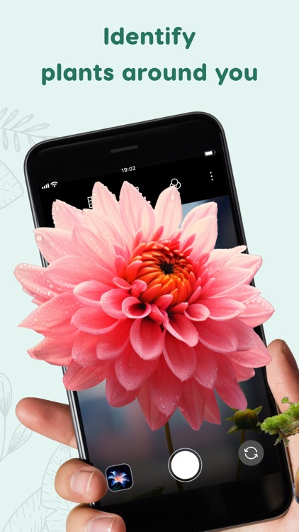 Plant Identifier & Plant Care