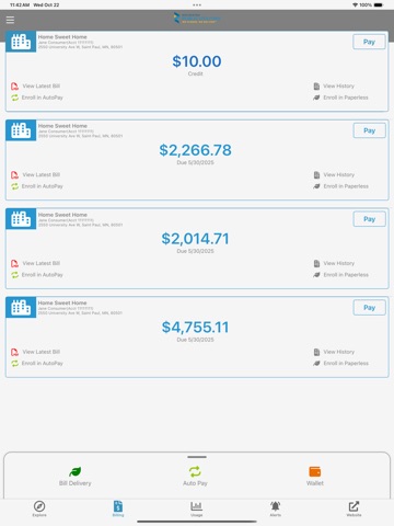 Rochester Public Utilities iPad screenshot