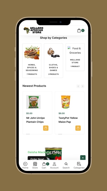 Welland African Store