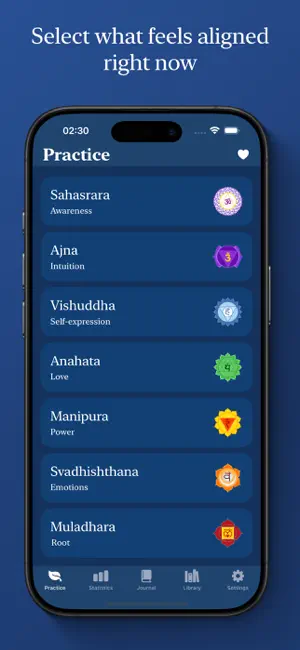 Sadhana: Yogic Breathing screenshot 1