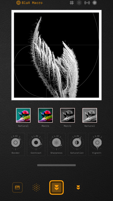 BlaX Macro Camera Screenshot