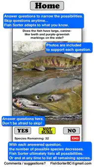 Fish Sorter iphone bilder 1