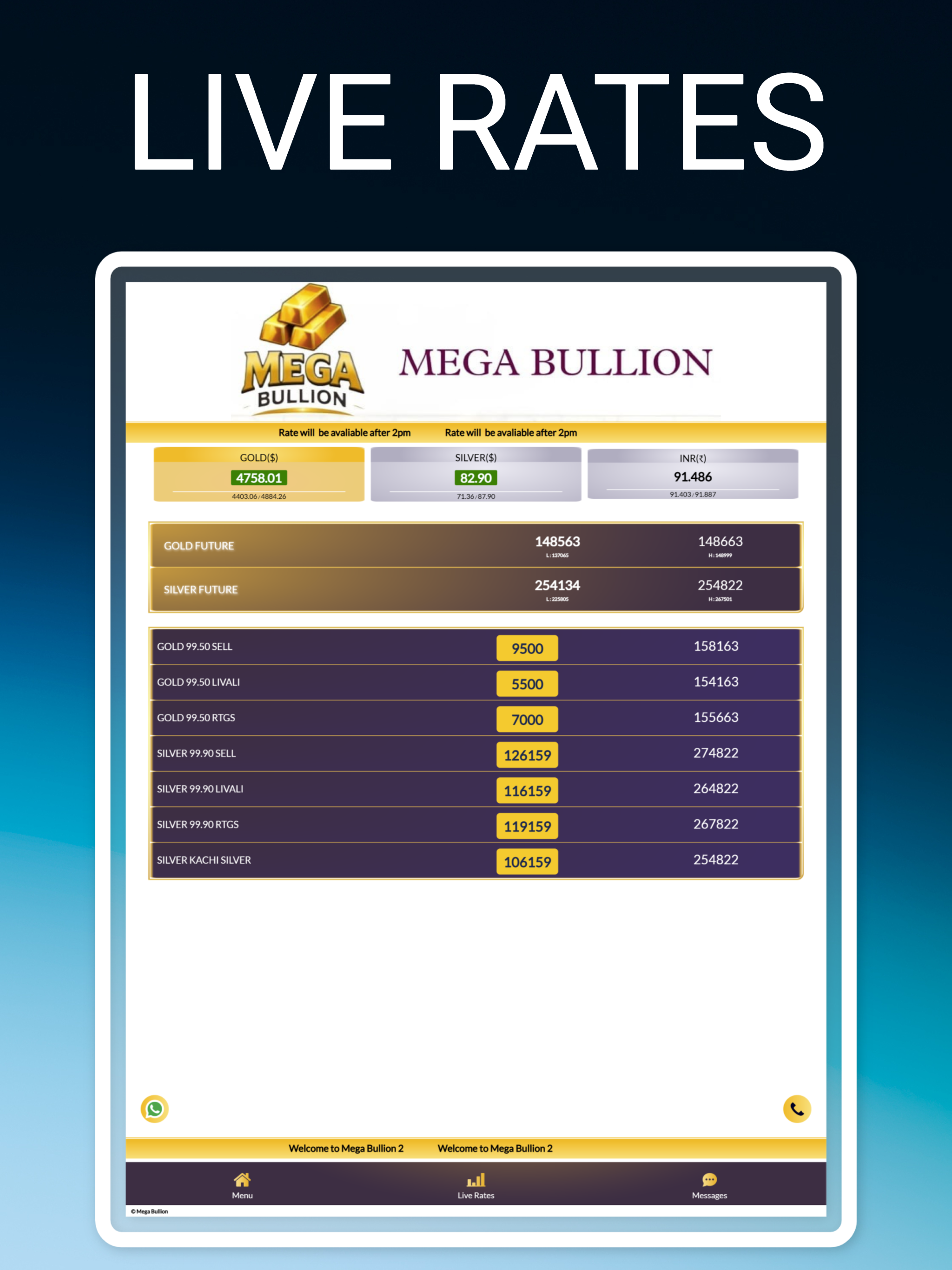 Mega Bullion