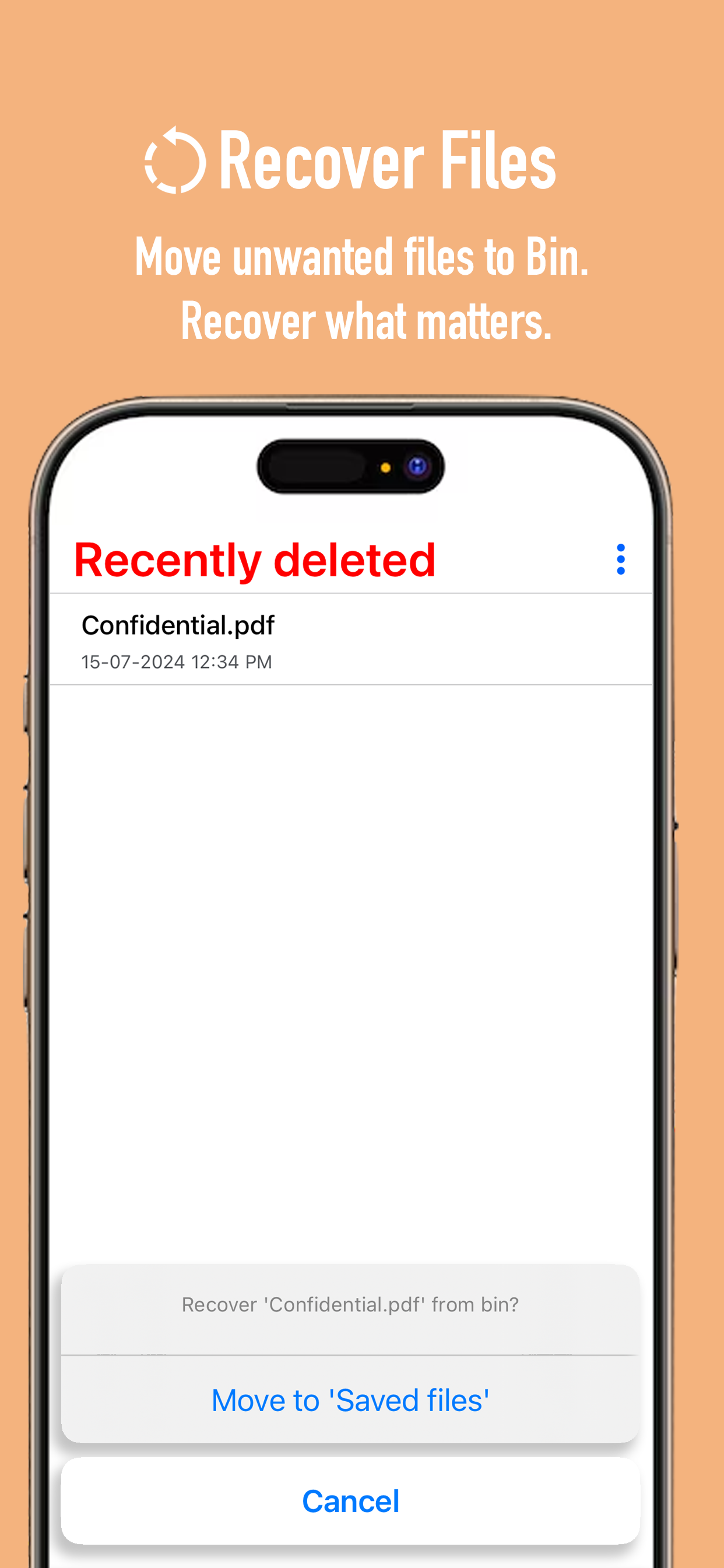 PDF Locker
