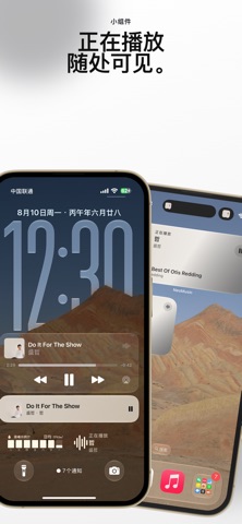 新歌 (Xinge) 界面截图 6