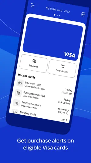 Visa Purchase Alerts screenshot 1