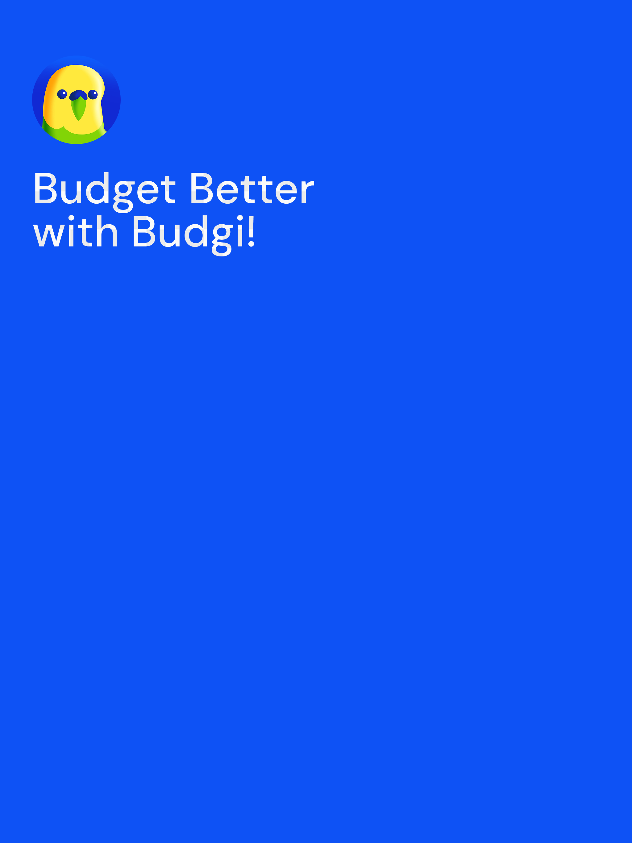 Budgi screenshot 7