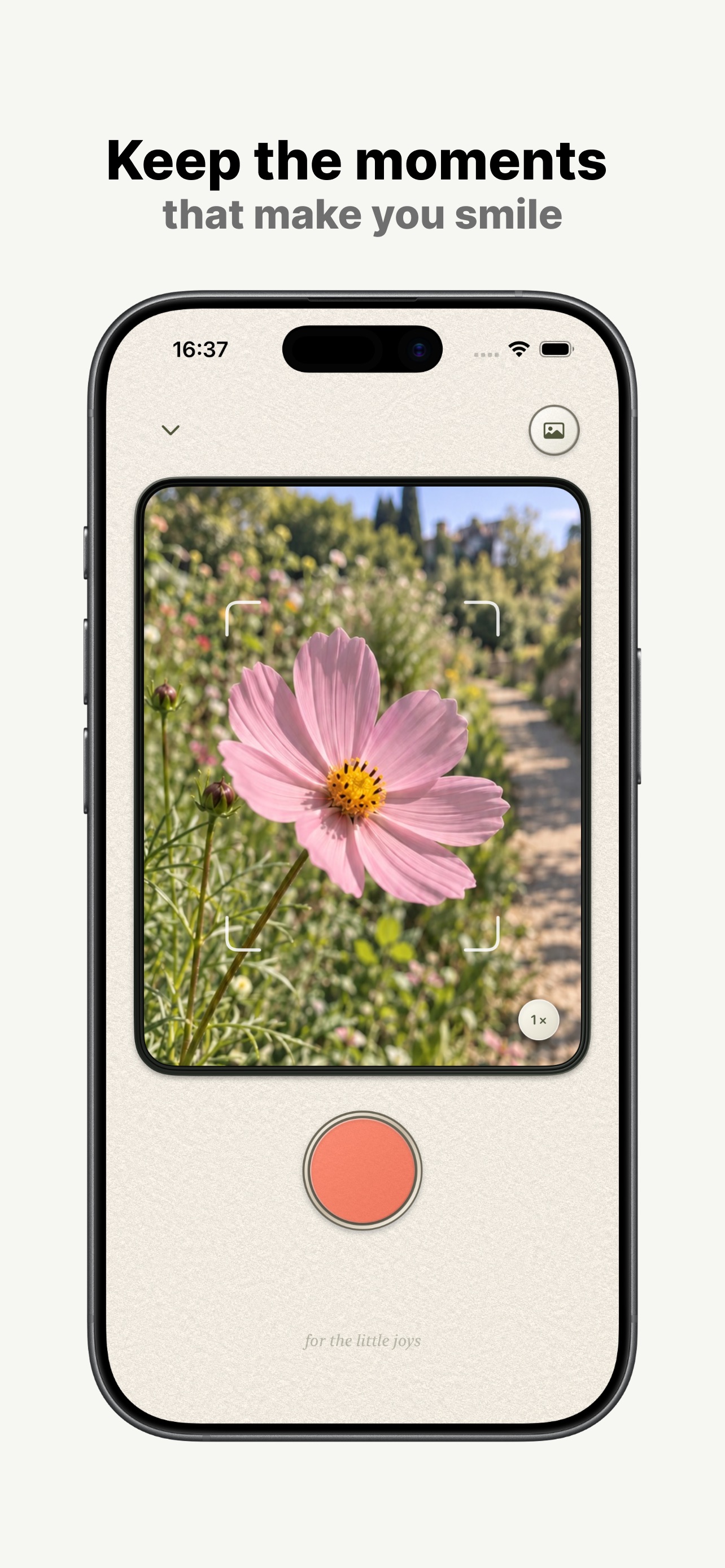 Screenshot 2 of Flody: Flowers along the way