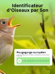 reconnaissance oiseaux chants iPad Captures Décran 2