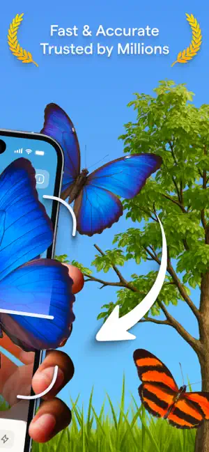 Identifier - Insect IQ screenshot 2