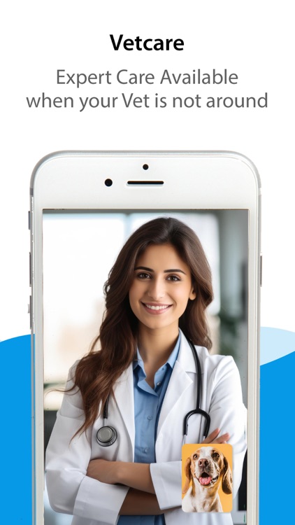 Cuddlytails-24/7 Vet & Sitting