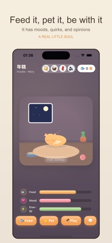 Island Cat iPhone screenshot