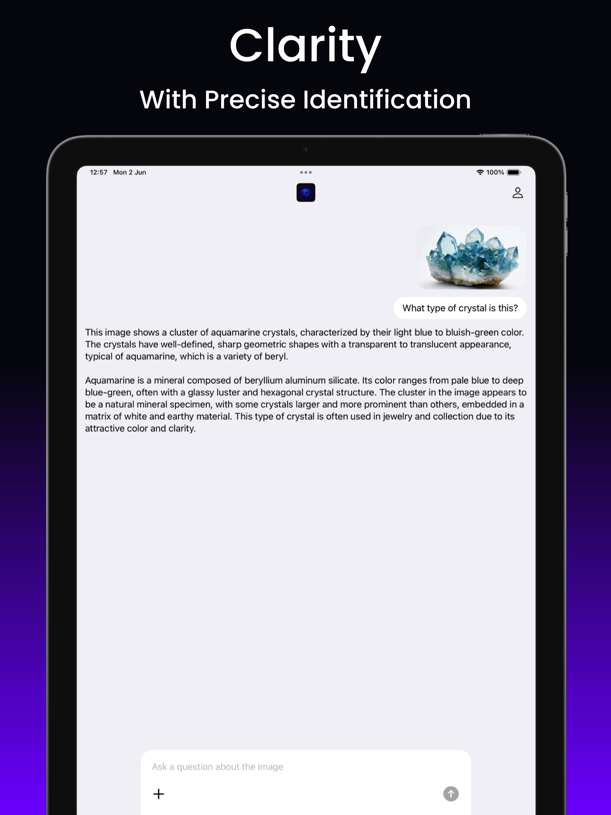 OmniVision - Rock identifier screenshot 9