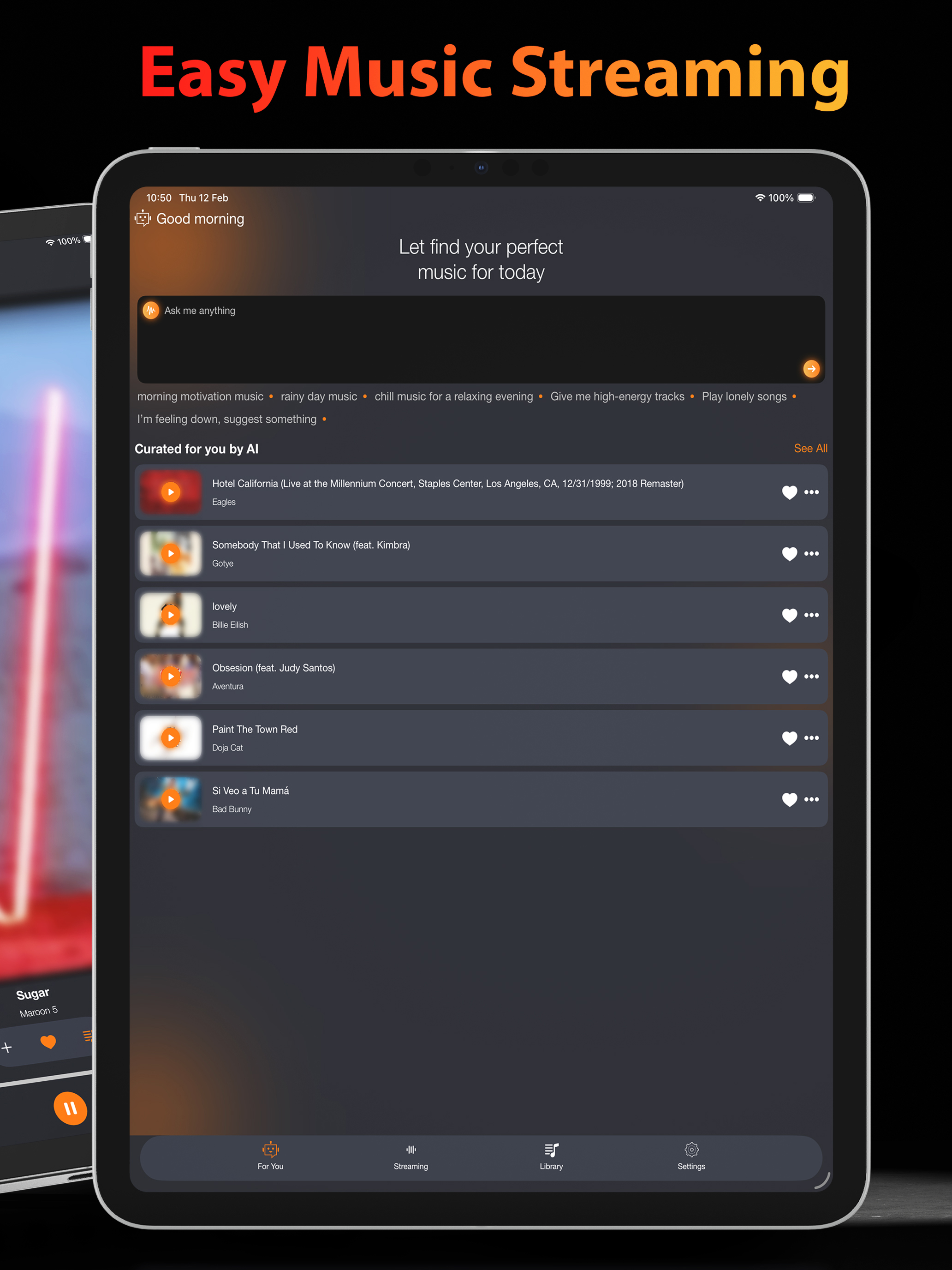 MusiPlus: Easy Music Streaming