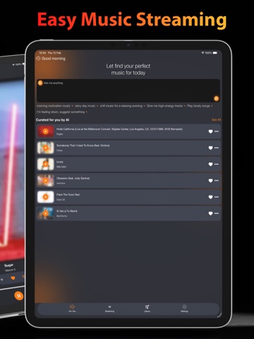 MusiPlus: Easy Music Streaming iPad screenshot 2