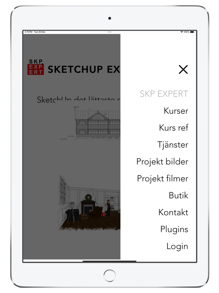 SketchUp Expert