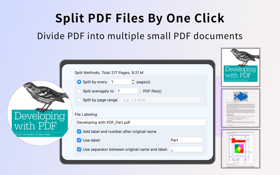 #4. Organize PDF Page Editor-Merge (macOS) 由: 璇 杨