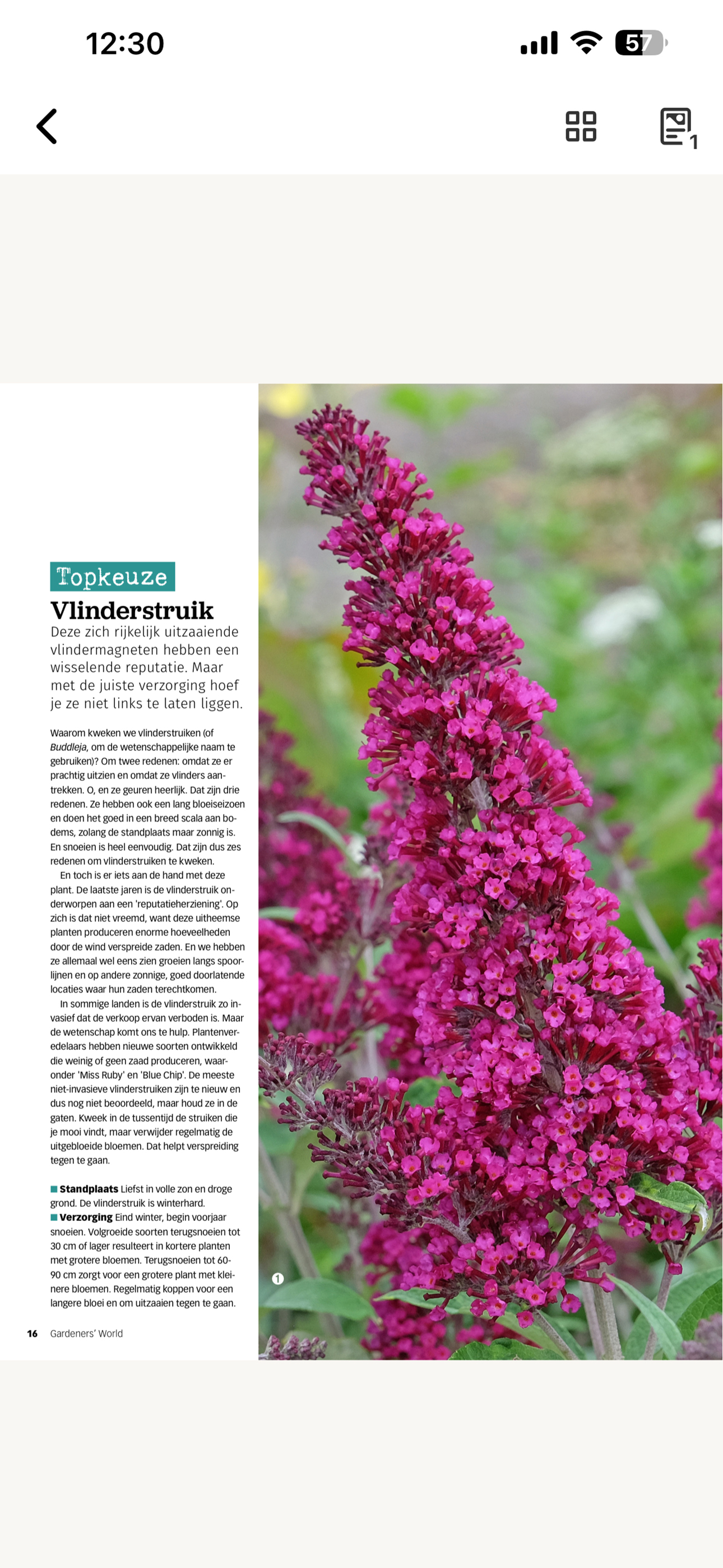 Gardeners’ World