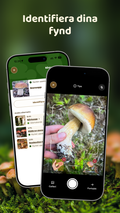 Mushroom Spot: svampkarta iPhone screenshot 2