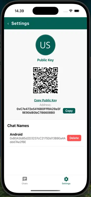 Brilian Chat screenshot 2