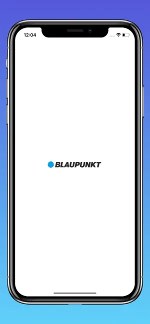 Blaupunkt 4G Dashcam screenshot 1