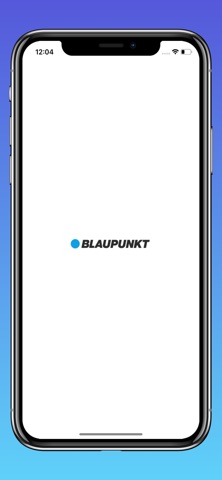 Blaupunkt 4G Dashcam screenshot