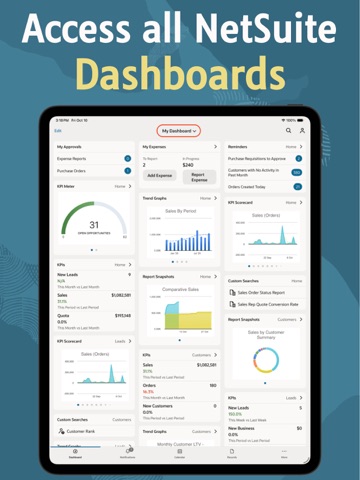 NetSuite iPad screenshot