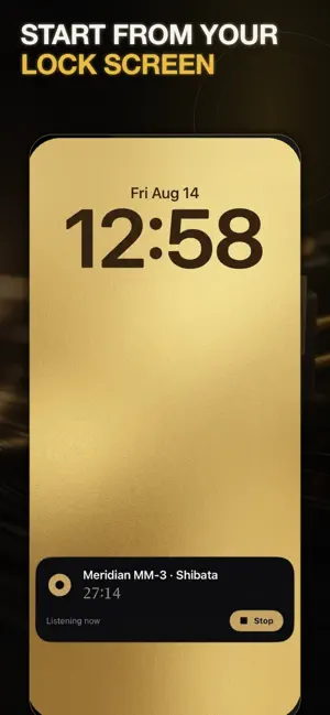 Cartridge Hours: Vinyl Stylus screenshot 2