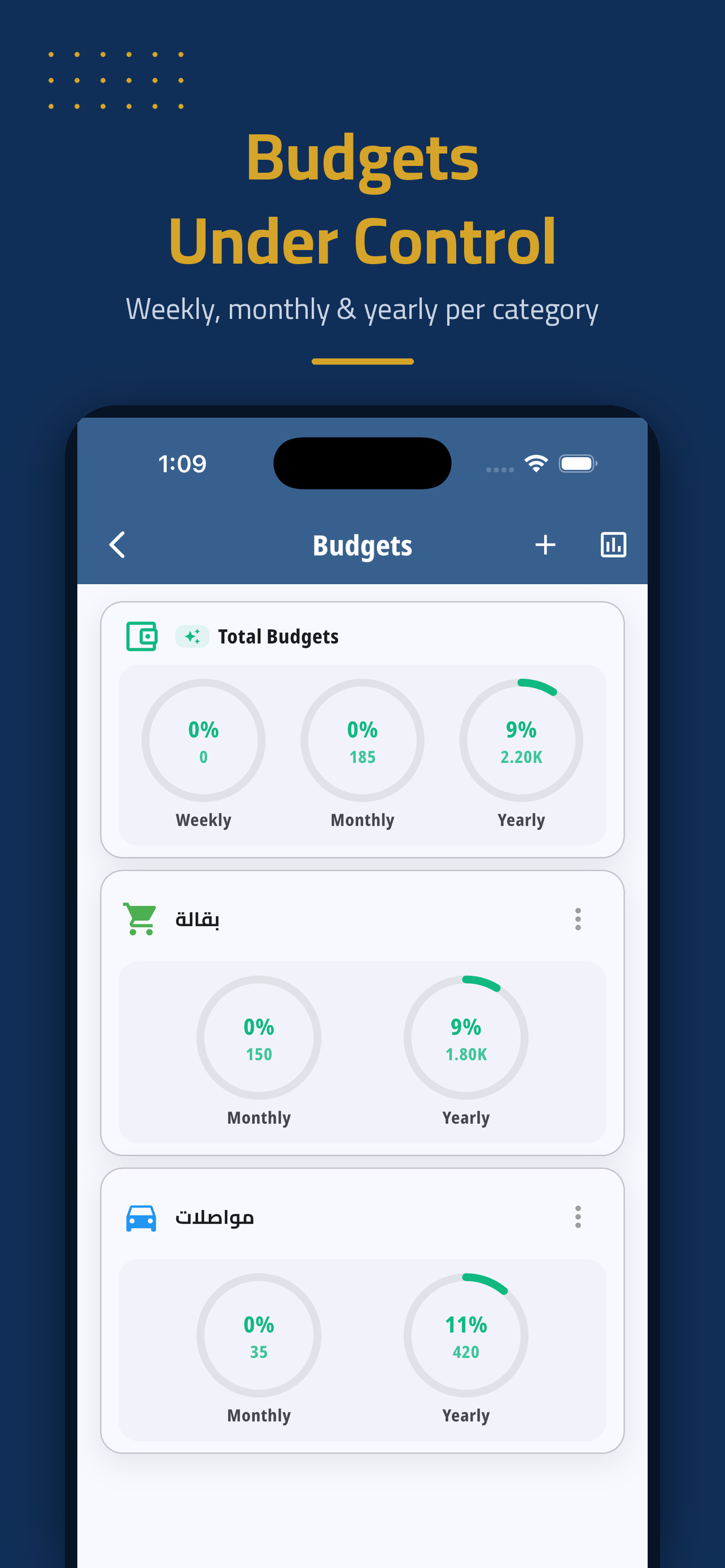 Amunta – Debts & Expenses screenshot 6