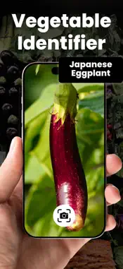 Vegetable Identifier: Vegy screenshot 1