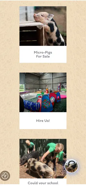 Kew Little Pigs Farm screenshot 4