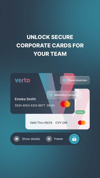 Verto Pay Screenshot