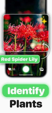 What Plant Is This ° iPhone screenshot