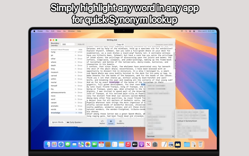 Synonymicon app screenshot