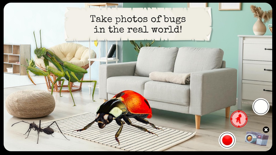 #8. Bugs & Insects (Full Version) (iOS) بواسطة: philippe Bobis