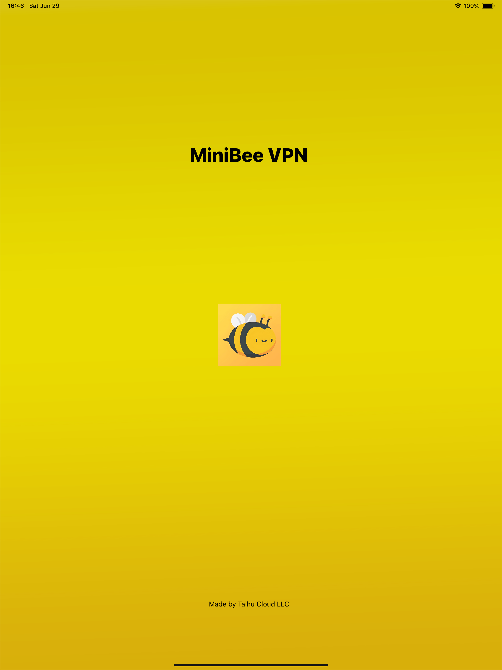 MiniBee VPN