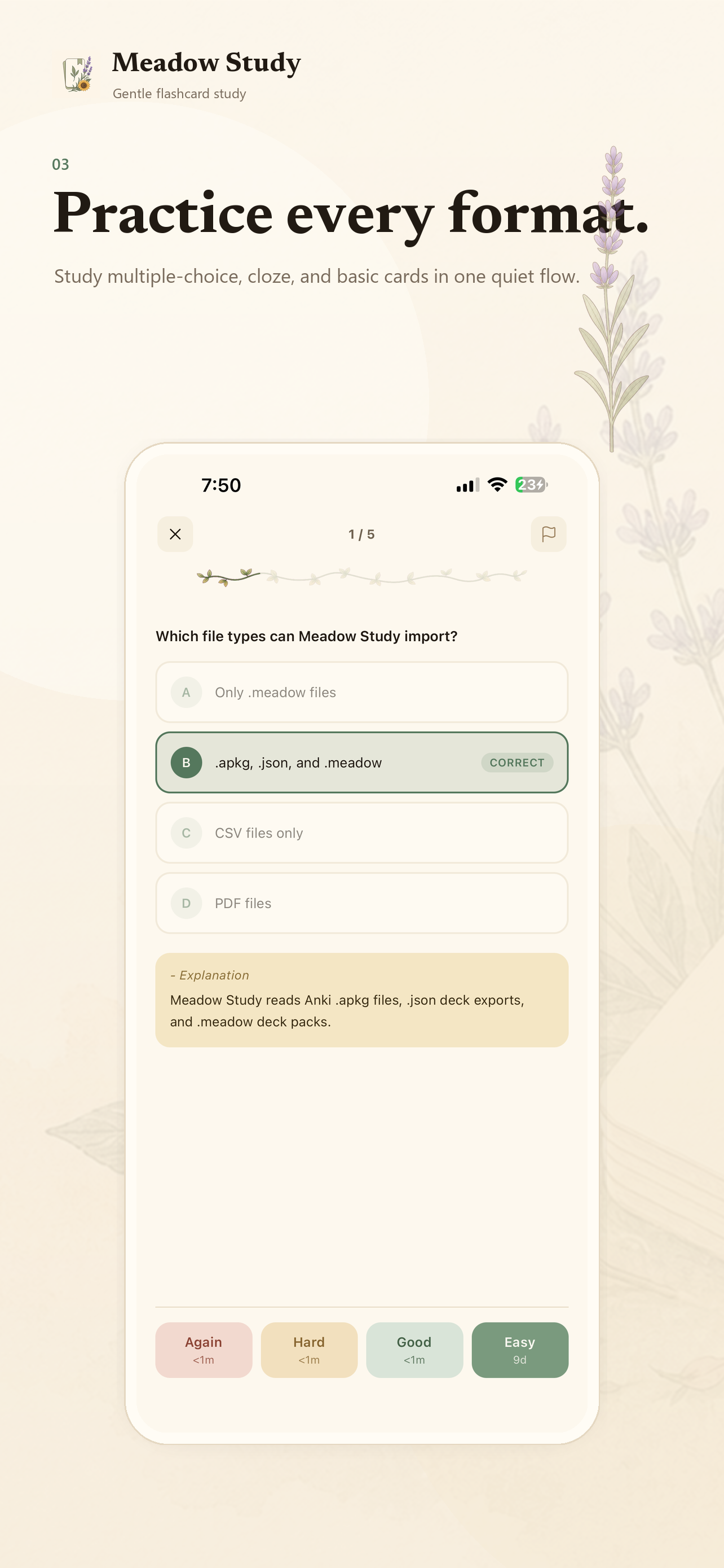 Meadow Study screenshot 3